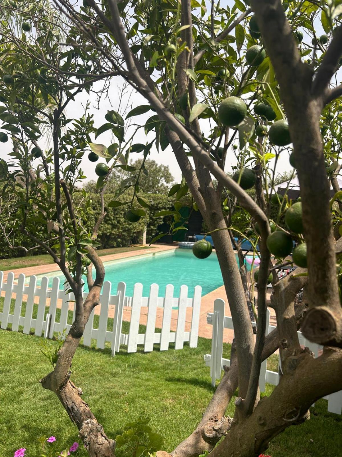 Villa Orangeraie Agadir Bagian luar foto